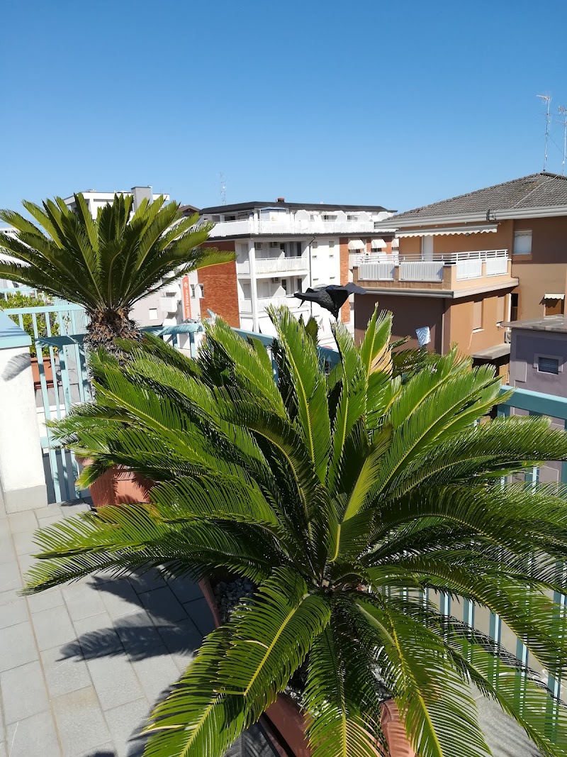 Hotel Firenze in Caorle, Italy