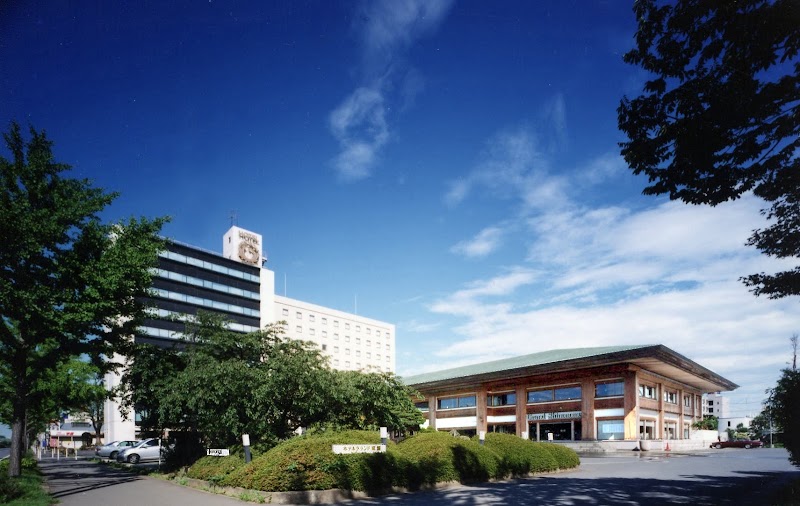 Hotel Grand Shinonome in Ibaraki, Japan
