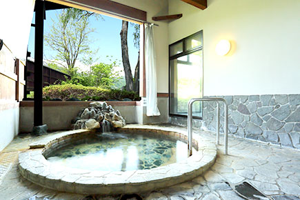 Hotel Hakuba in Hakubacho, Japan