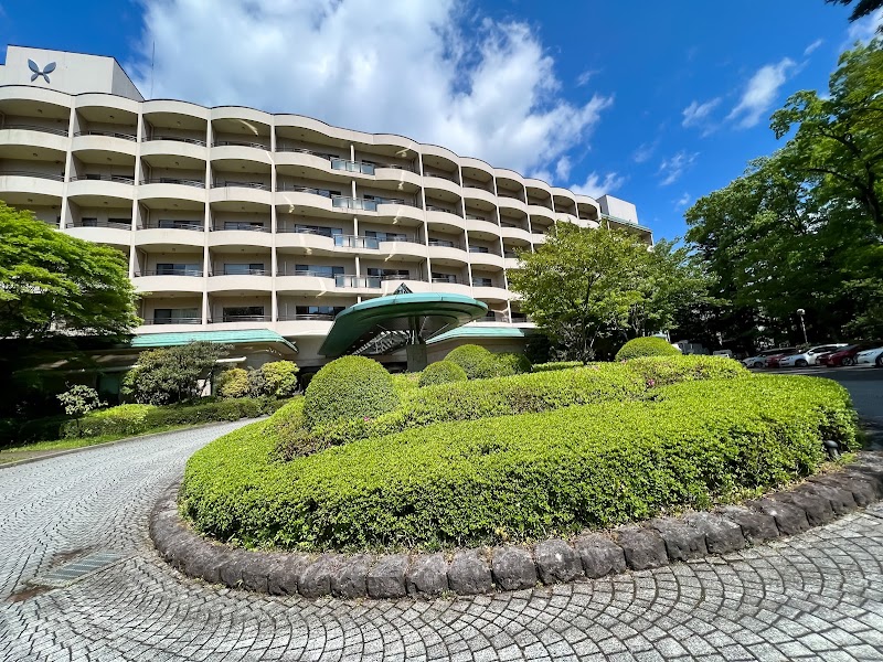 Hotel Harvest Kinugawa in Tochigi, Japan