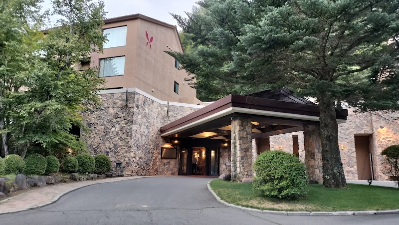 Hotel Harvest Tateshina in Chino, Japan