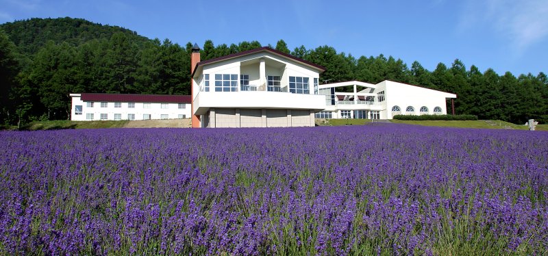 Hotel Highland Furano in Furano, Japan