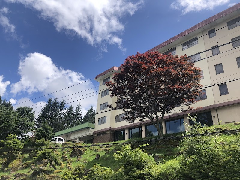 Hotel Kameya in Iida, Japan