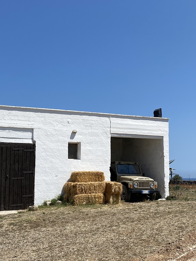 Hotel Masseria Palombara Grande in Carovigno, Italy