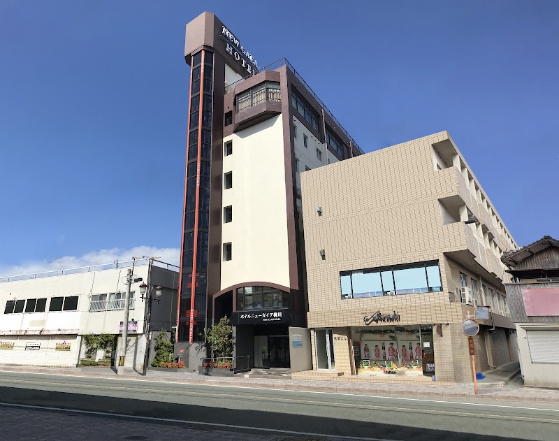 Hotel New Gaea Yanagawa in Yanagawa, Japan