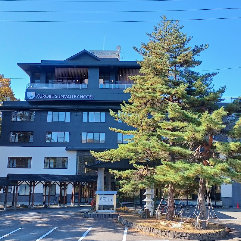Hotel New Kawachiya in Omachi, Japan