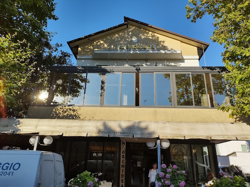 Hotel Orchidea in Gatteo, Italy