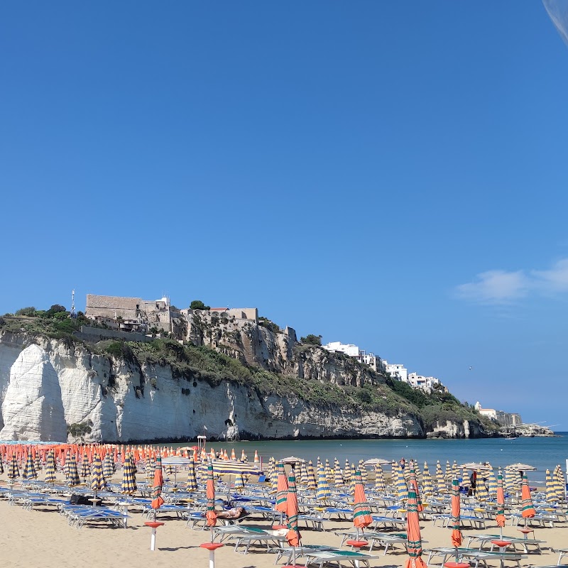 Hotel Ristorante Il Lido degli Aranci in Amantea, Italy