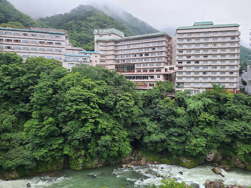Hotel Shirakawa Yunokura in Tochigi, Japan