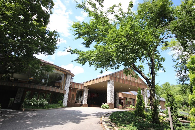 Hotel Sierra Resort Hakuba in Hakubacho, Japan