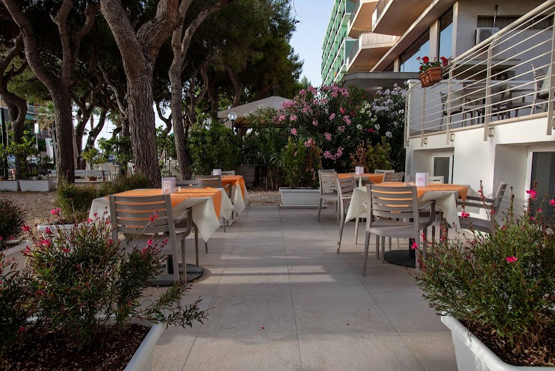 Hotel Velia in Grottammare, Italy