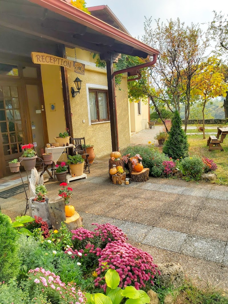 Hotel Villa Anthemia in Aridaia, Greece