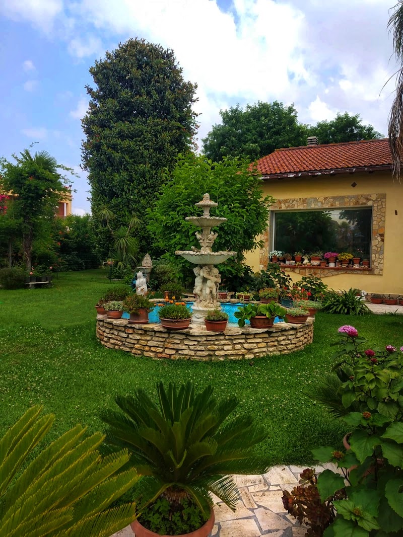 Hotel Villa Delfino in Bagnara Calabra, Italy