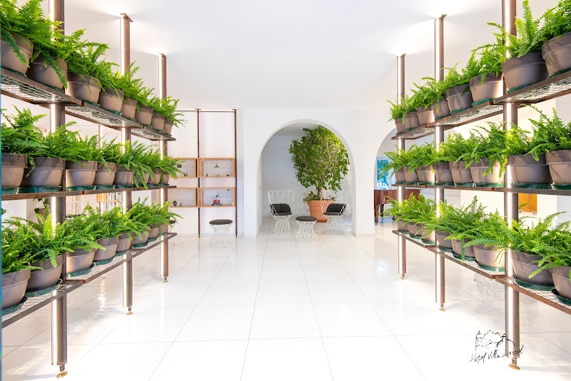 Hotel Villa Durrueli Resort & Spa in Ischia, Italy