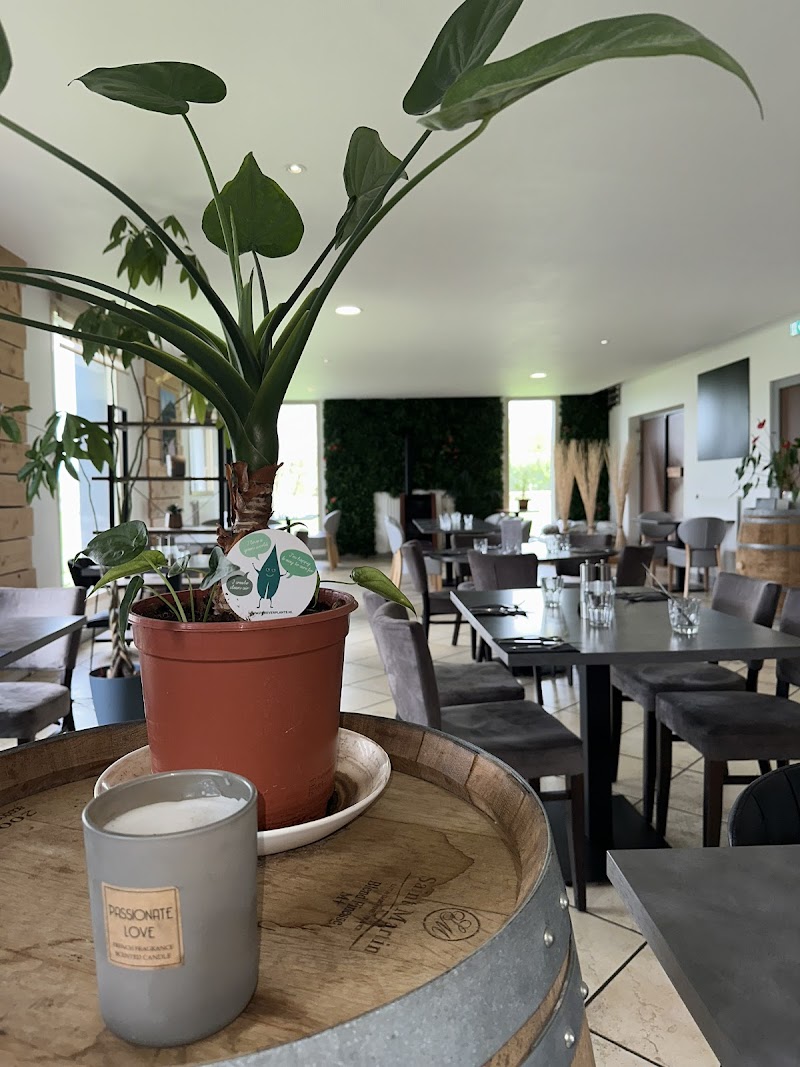 Hotel Volcan in Clermont, France