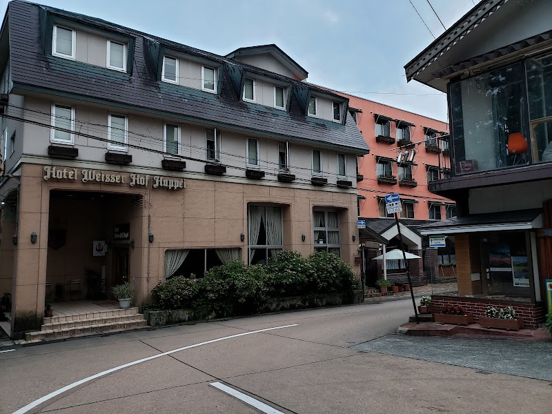 Hotel Weisser Hof Happei in Hakubacho, Japan