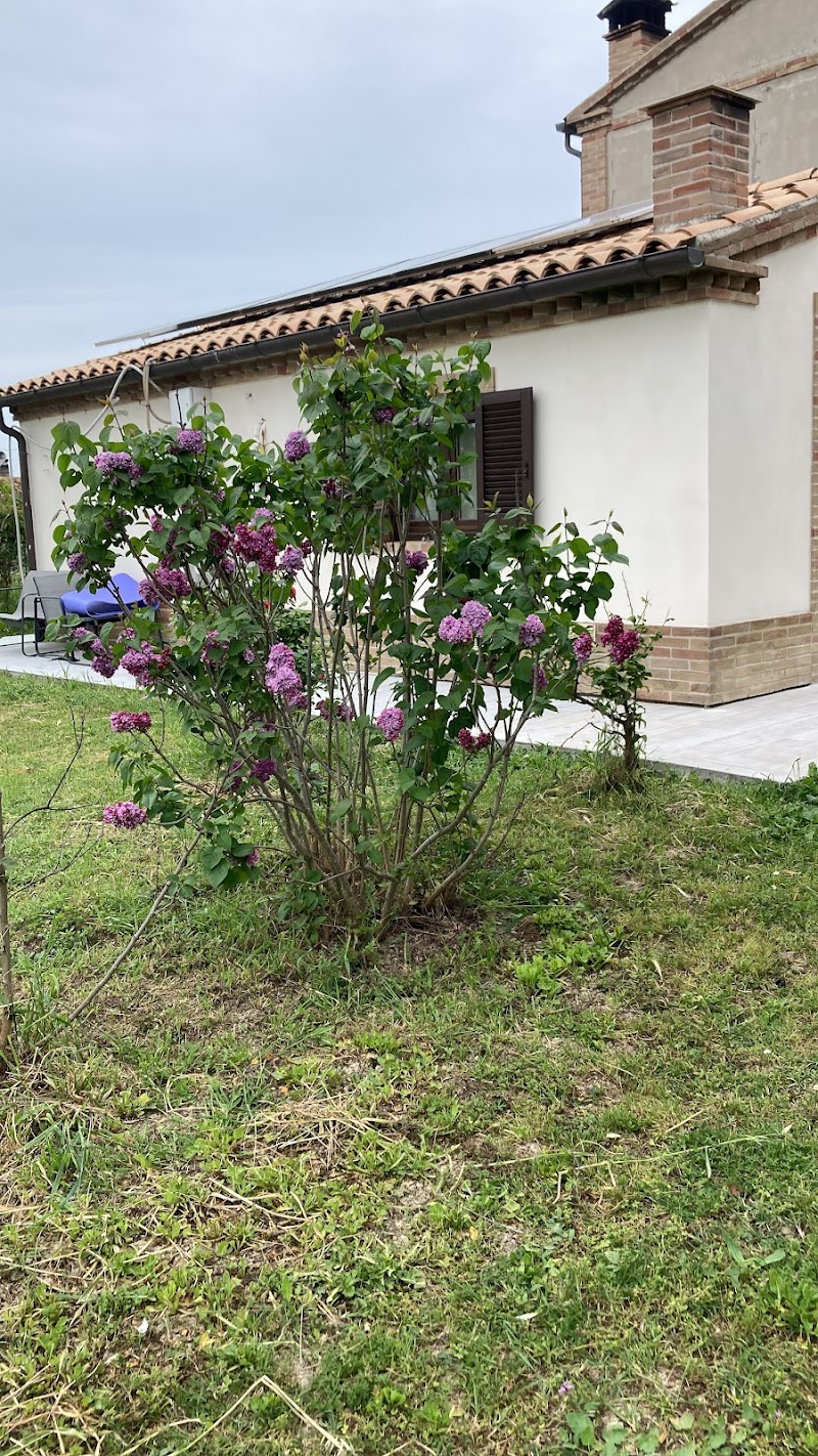 Hotel della Rosa in Loreto, Italy
