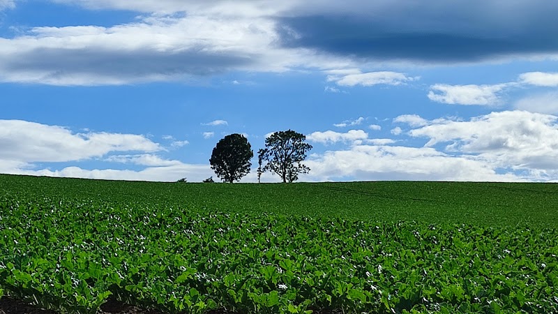 Ikoiso in Biei, Japan