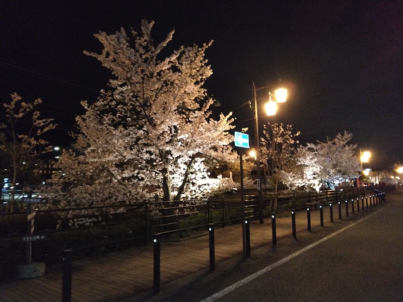 Isawa Onsen Hotel Kimiyoshi in Fuefuki, Japan