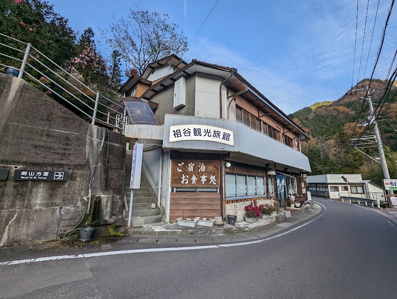 Iya Kanko Ryokan in Miyoshi, Japan