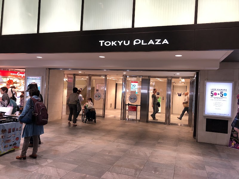 Kamata Plaza Hotel in Kamata, Japan