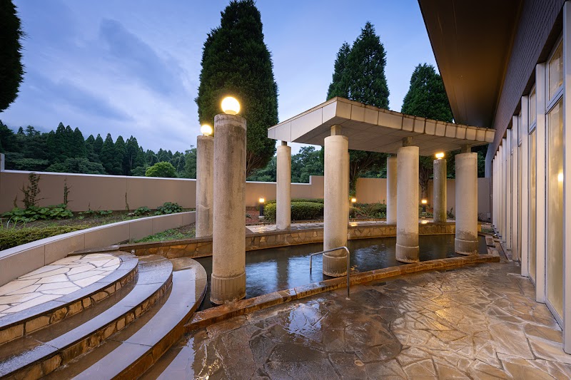 Kamenoi Hotel Kumamoto Tamana in Tamana, Japan