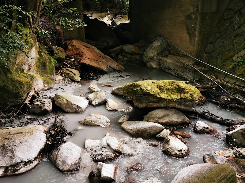 Kirishima Onsenkyo Kirishima Gin no Yu in Kirishima, Japan