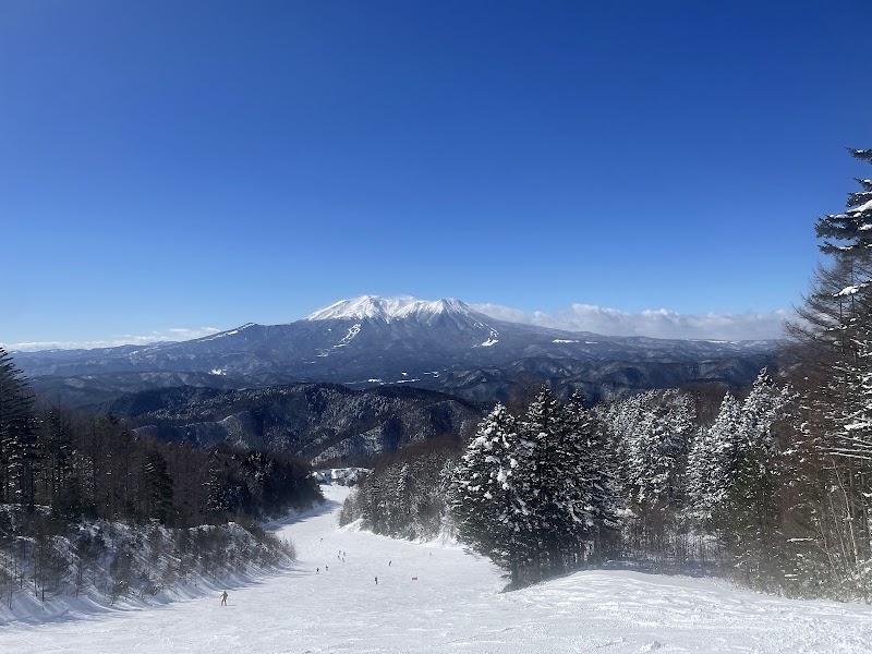 Kiso Fukushima Ski Resort Hotel in Kiso, Japan