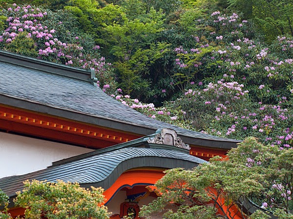 Koyasan Sainan-in in Wakayama, Japan