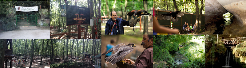 La Selvotta in Formello, Italy