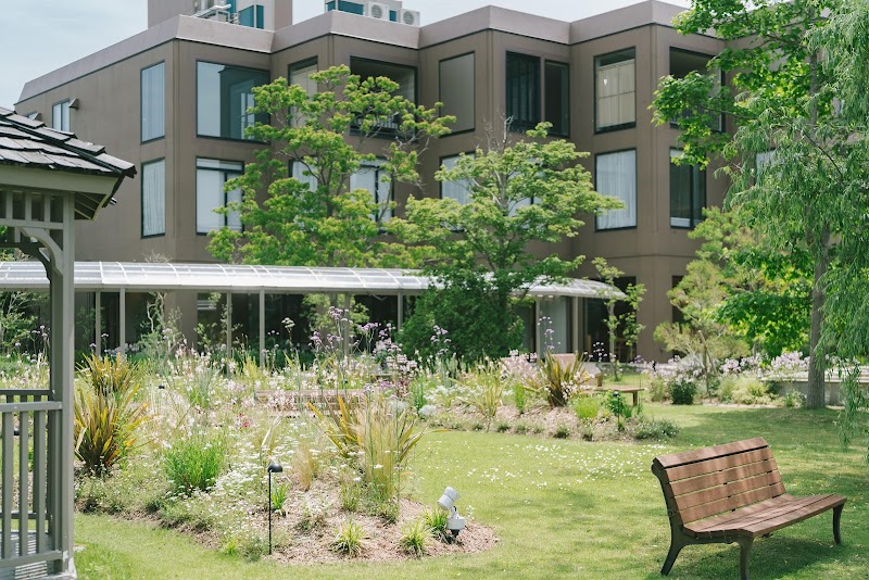 Little White Flower in Kyotango, Japan