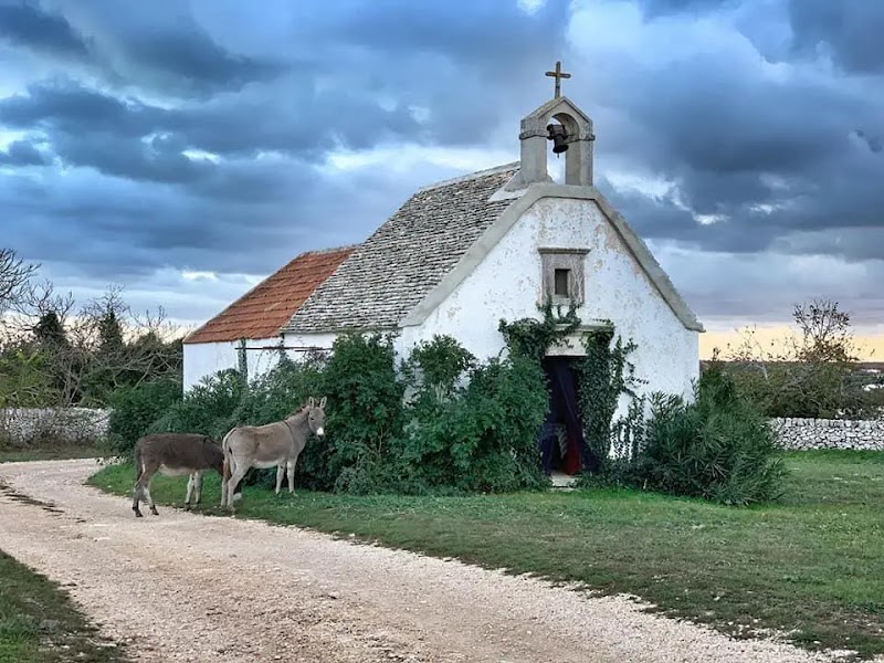 Masseria Murgia Albanese in Gioia del Colle, Italy