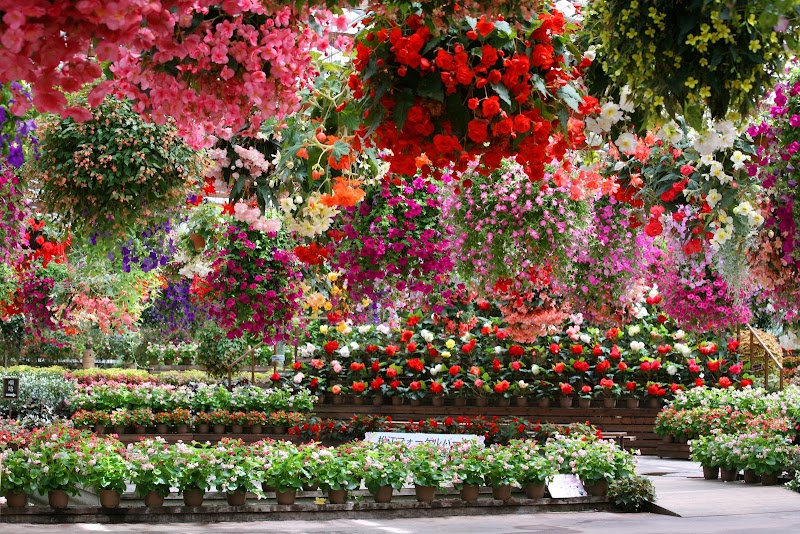 Matsue Forest Park in Matsue, Japan