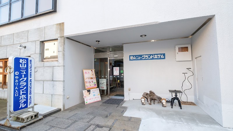 Matsuyama New Grand Hotel in Matsuyama, Japan