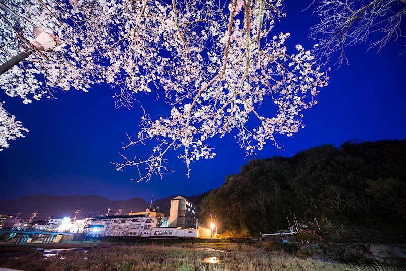 Misasa Onsen Seiryuso in Tottori, Japan