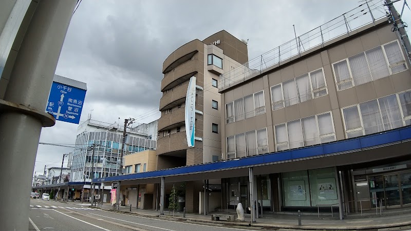 Nakajo Ryokan in Tokamachi, Japan