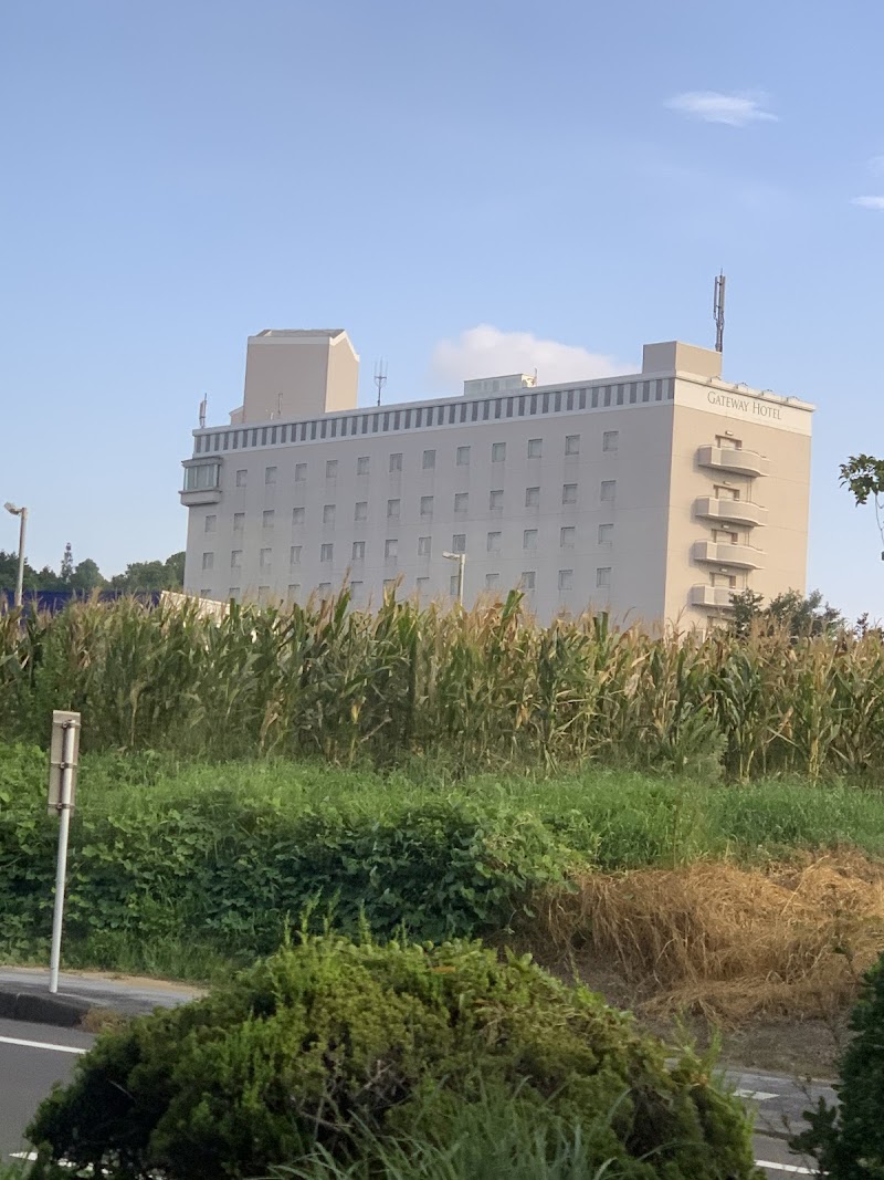 Narita Gateway Hotel in Narita, Japan