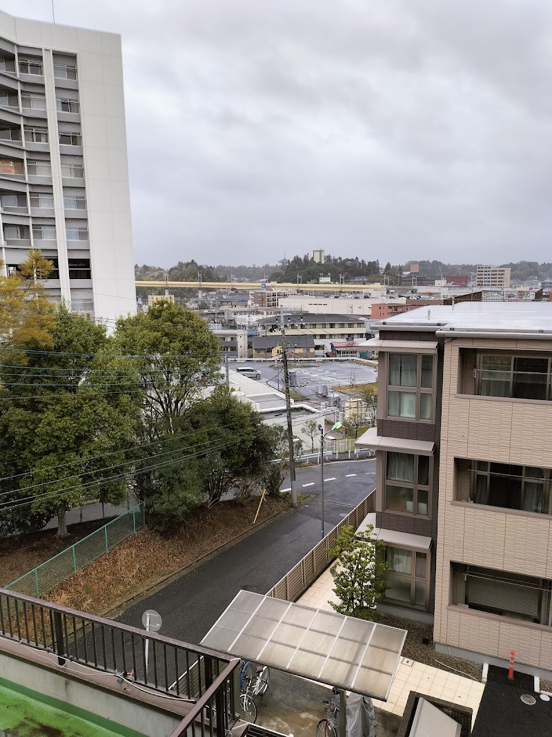 Narita Park Hills Hotel in Narita, Japan