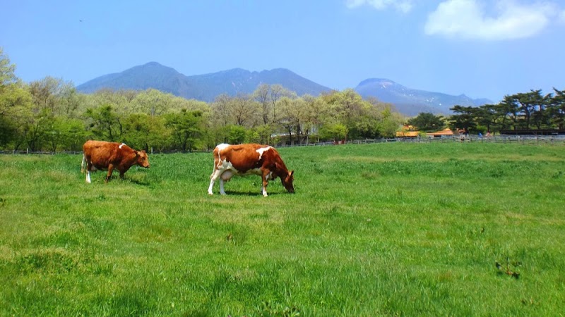 Nasu Kogen Ichinojo in Nasu, Japan