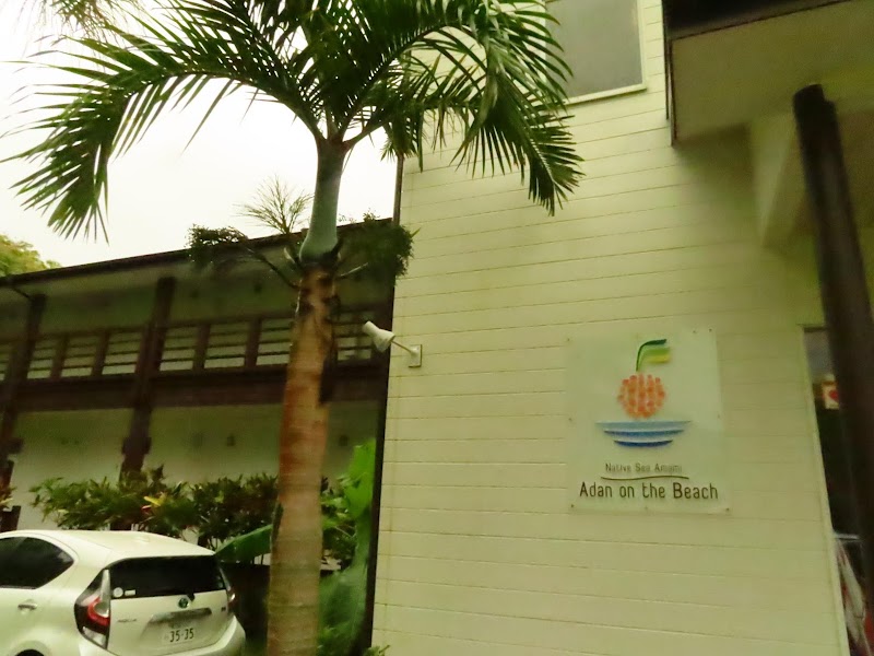 Native Sea Amami in Amami, Japan