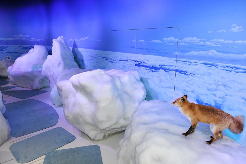 Okhotsk House in Abashiri, Japan