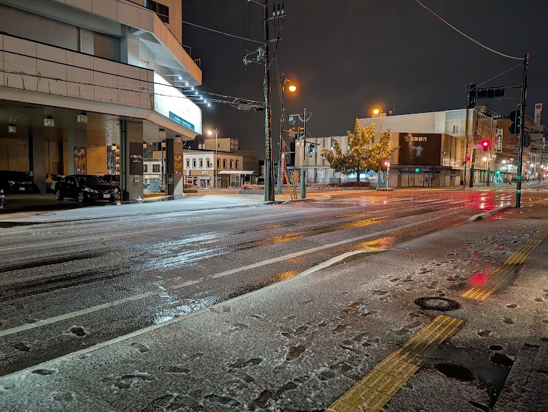 Otaru Green Hotel in Otaru, Japan