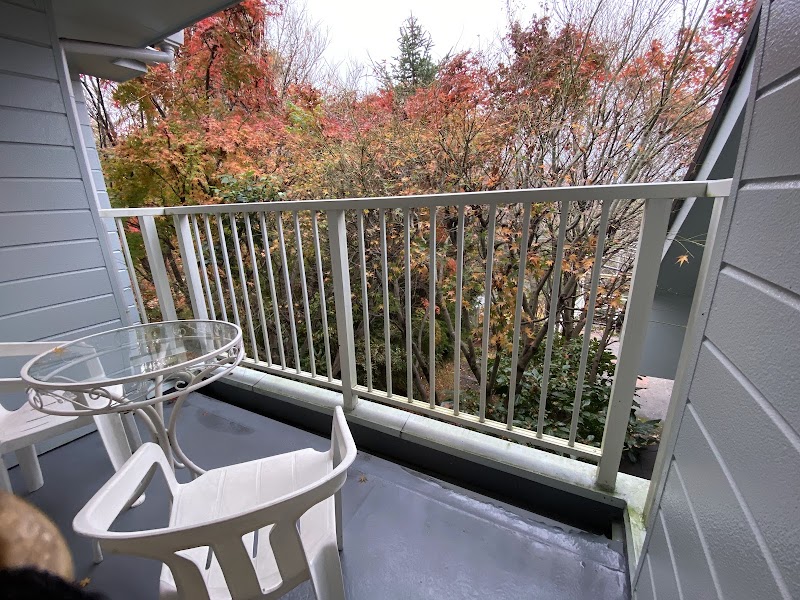 Pension Cherry in Aso, Japan