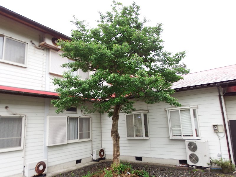 Pension Metasequoia in Takashima, Japan