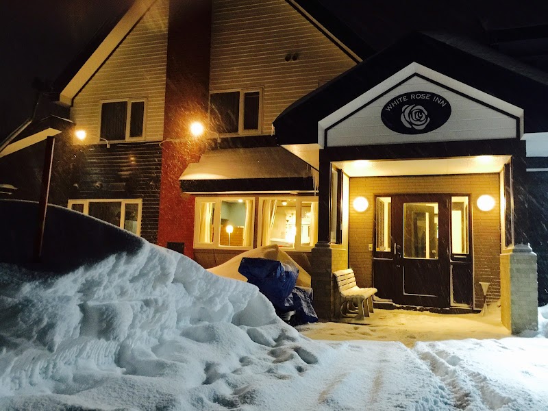 Pension White Tree in Hachimantai, Japan