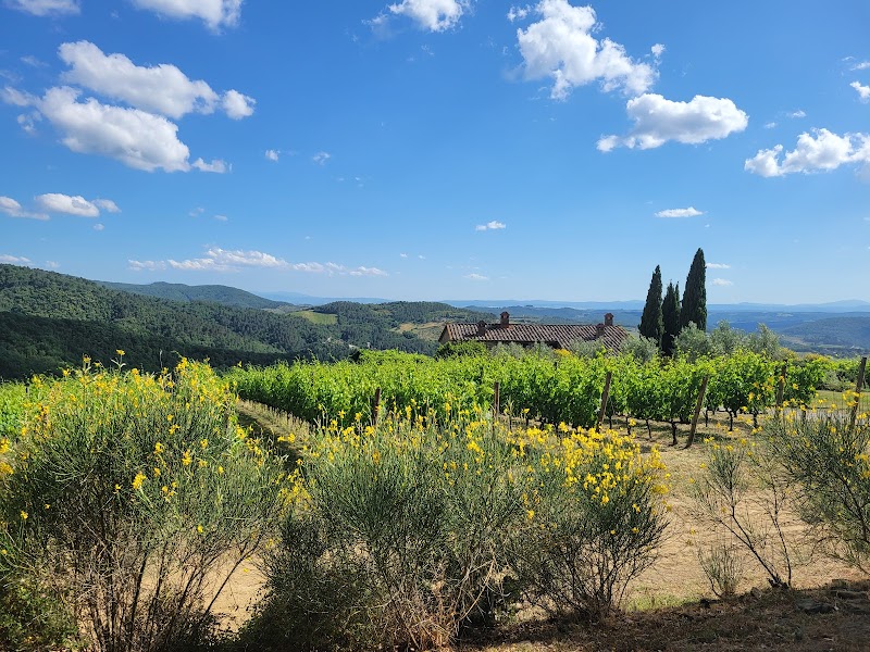 Podere Ciona in Castelnuovo Berardenga, Italy