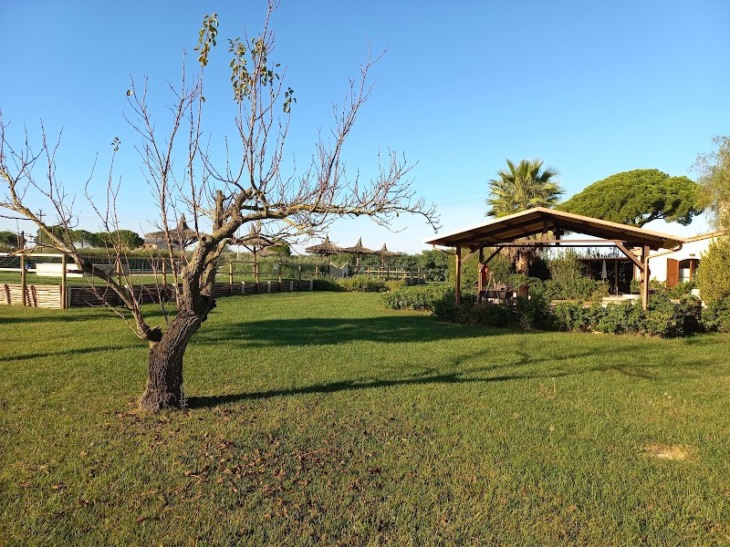 Podere Conte Novello in Castagneto Carducci, Italy