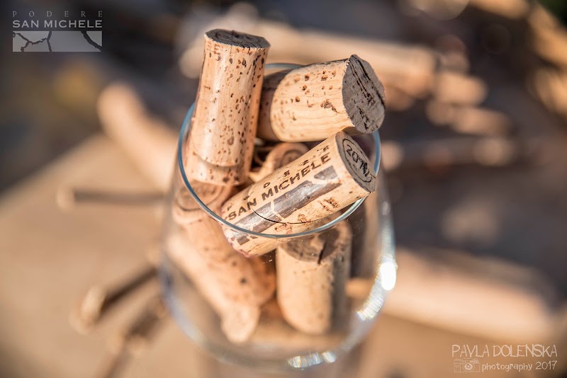 Podere San Michele in Castagneto Carducci, Italy
