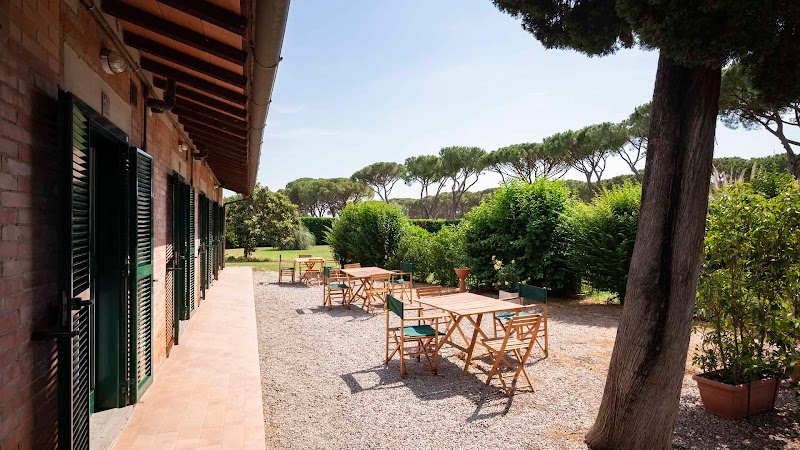 Razza del Casalone in Grosseto, Italy