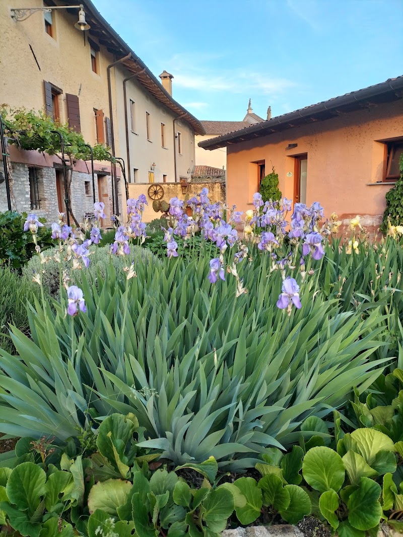 Resort Villa Manin in Codroipo, Italy